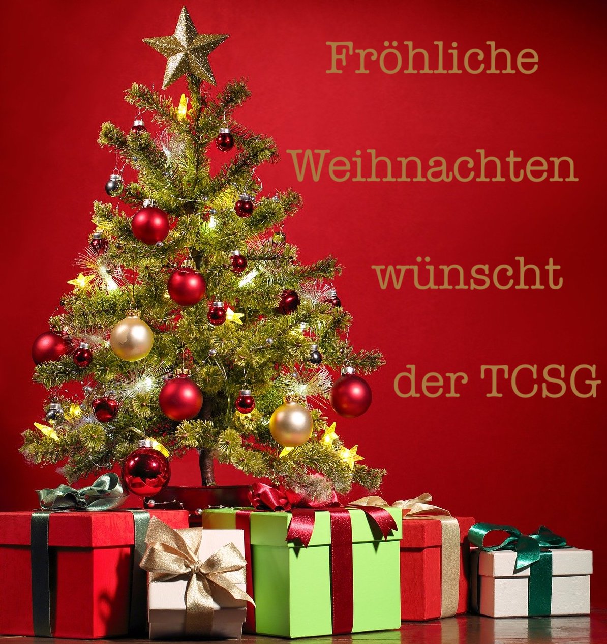 xmas tcsg